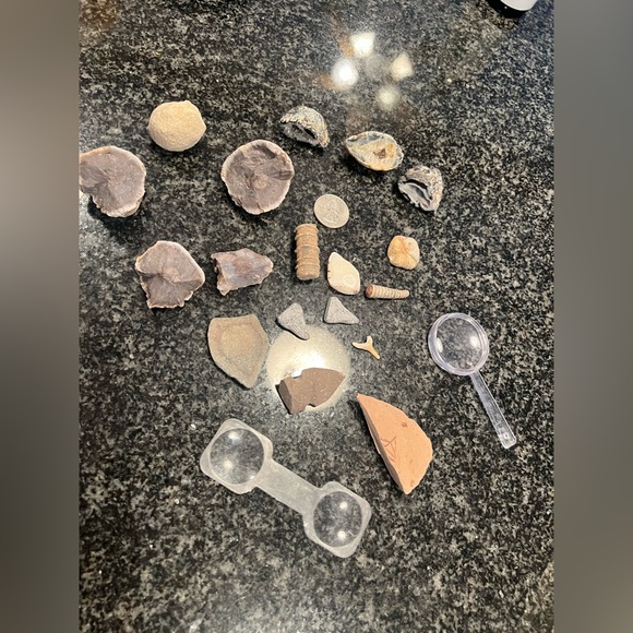 This fossil collection has vertebrae rocks, geodes Geodes, that’s not cracked. - Picture 4 of 4